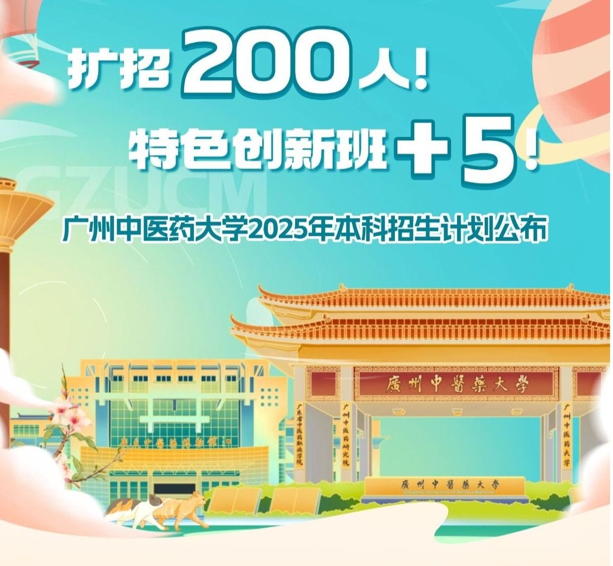 权威发布！2026世界杯官网2025年本科招生计划